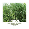 RGH 2N Bio PIROL, Ray-grass Hybride Bio