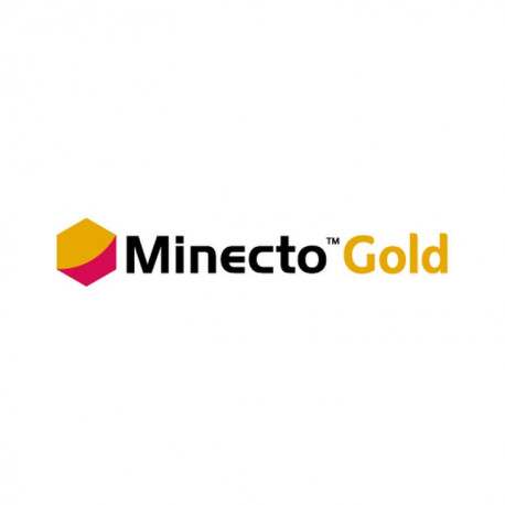 MINECTO GOLD