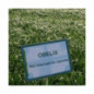 RGI 4N alternatif Bio OBELIX, Ray-grass d'Italie Bio