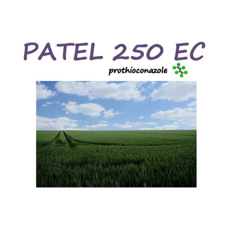 PATEL 250 EC