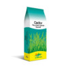 RGH 2N Bio CADOR, Ray-grass Hybride Bio