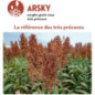 Sorgho grain - ARSKY