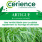 RGI 4N alternatif ARTIGUE, Ray-grass d'Italie